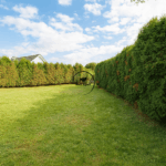 ChatGPT Image 21. 10. 2025, 18_33_04_2_11zon